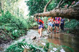 BIB: 
                            <button type="button" onclick="openModal(25515371)" class="btn btn-primary btn-sm float-right btn-popup" data-toggle="modal" data-target=".modal-high-quality">
                        <i class="fas fa-shopping-cart"></i> Add to Cart
                    </button>
                                            <button type="button" onclick="isThisMe(25515371, true)" class="btn btn-success btn-sm float-right btn-popup btn-isme hidden" data-toggle="tooltip" data-placement="bottom" title="นี่คือรูปของคุณใช่ไหม คลิกที่นี่เพื่อเอาเข้าอัลบั้ม">
                        <i class="fas fa-plus"></i> Add to album
                    </button>
                    <button type="button" onclick="isThisMe(25515371, false)" class="btn btn-warning btn-sm float-right btn-popup btn-isnotme hidden">
                        <i class="fas fa-ban"></i> Remove from album
                    </button>